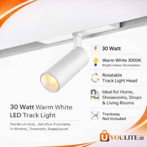30W W/W Track Light Y147