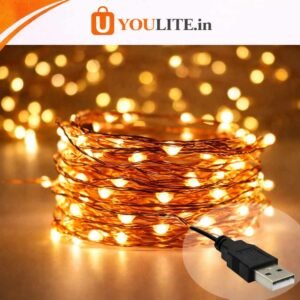 USB String 10M Y160