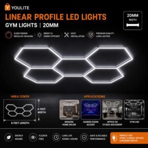 Linear Profile Lights Y250