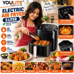 Electric Air Fryer Y309