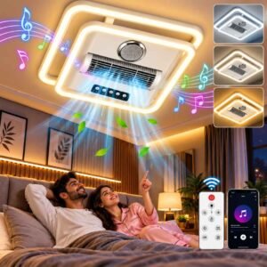Ceiling Light & Fan & Speaker Y321